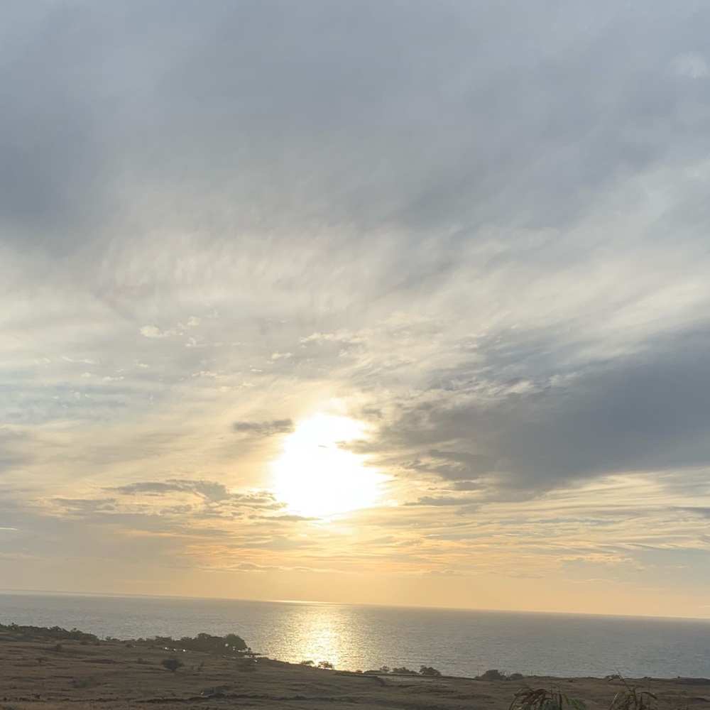 Meet your Posher, Frank